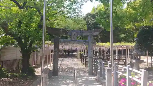 熊野神社の鳥居