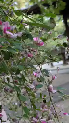 梨木神社(京都府)