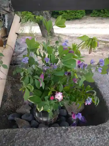木華佐久耶比咩神社の手水舎