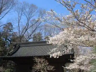 妙本寺の地蔵