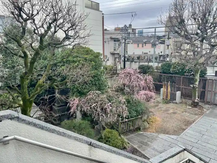 常泉寺の{uncategorized: "未分類", other: "その他", undefined: "問題あり", building: "その他建物", grave: "お墓", sacred_gate: "鳥居", guardian: "狛犬", statue: "像", buddha: "仏像", history: "歴史", nature: "自然", garden: "庭園", animal: "動物", pagoda: "塔", temizu: "手水舎", mountain_gate: "山門・神門", sanctuary: "本殿・本堂", subordinate: "末社・摂社", art: "芸術", scenery: "景色", jizo: "地蔵", ema: "絵馬", goshuin: "御朱印", omikuji: "おみくじ", items: "授与品その他", amulet: "お守り", goshuincho: "御朱印帳", eats: "食事", festival: "お祭り", votive_dance: "神楽", shichigosan: "七五三参", wedding: "結婚式", experience: "体験その他", initially: "初詣", around: "周辺", anti_infection: "感染症対策"}