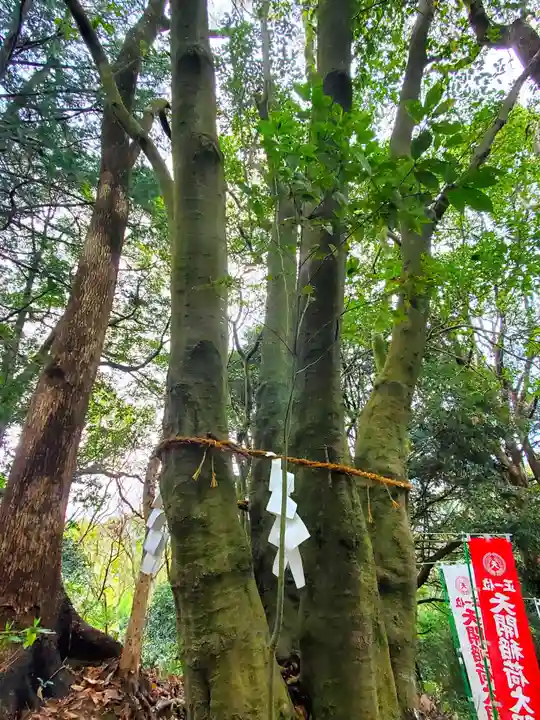 天開稲荷社の自然