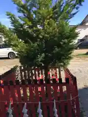 潮見ヶ岡神社の自然