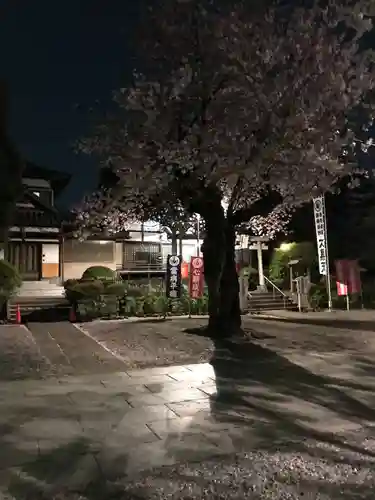 池上本門寺(東京都)