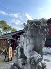 大杉神社(茨城県)