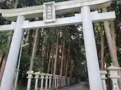 瀧樹神社の鳥居