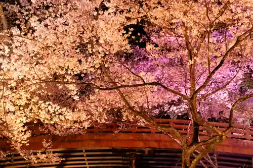 新城藤原神社(長野県)