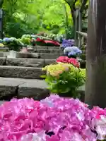 長谷寺(奈良県)