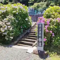 波立寺（波立薬師）の自然