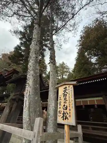 諏訪大社下社秋宮(長野県)