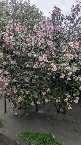 城南宮(京都府)