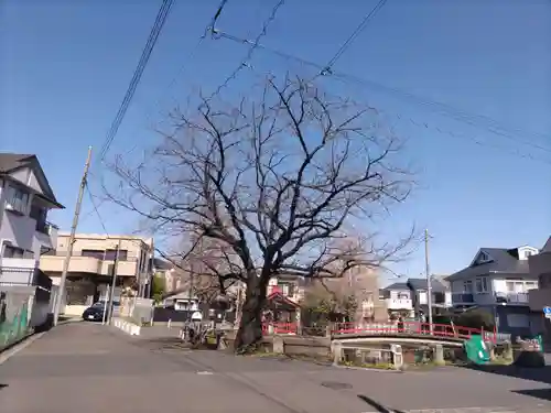 寺谷弁才天の自然