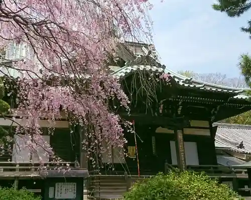 三寳寺の狛犬