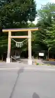 円山西町神社の鳥居