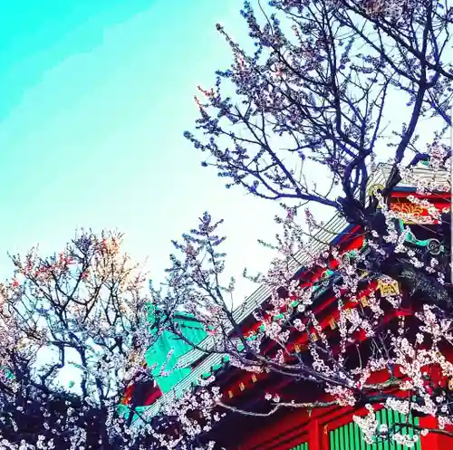 神田神社（神田明神）の自然