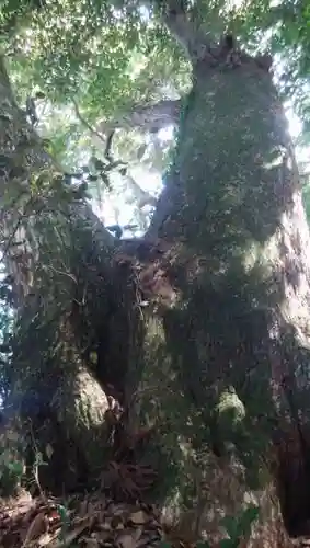 國土神社の自然