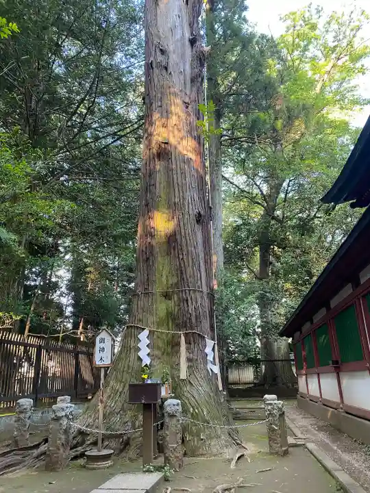 一言主神社(茨城県)