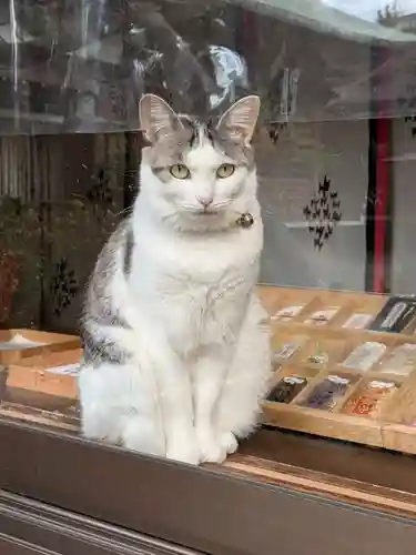 本郷氷川神社(東京都)
