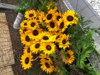 錦山天満宮の手水舎