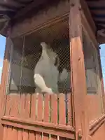 円養院(千葉県)