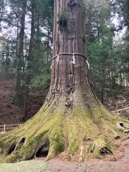 河口浅間神社(山梨県)