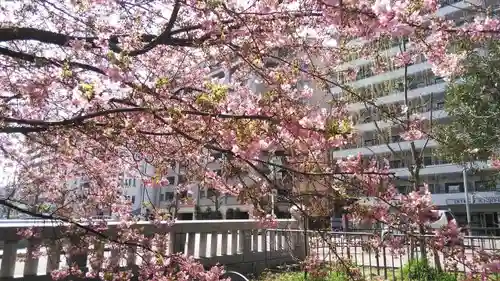 晴明神社の自然