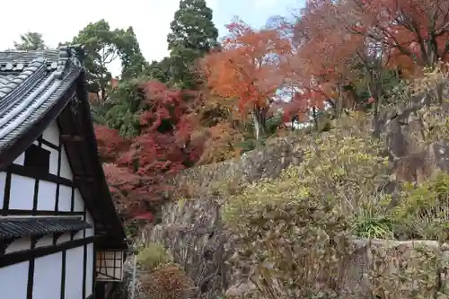 柳谷観音　楊谷寺のその他建物