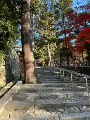 吉田神社(京都府)