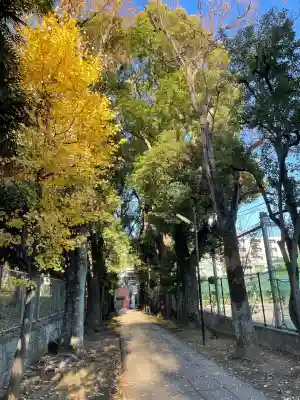 桐ヶ谷氷川神社(東京都)