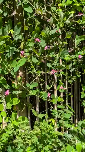 梨木神社(京都府)