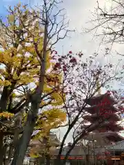 浅草寺(東京都)