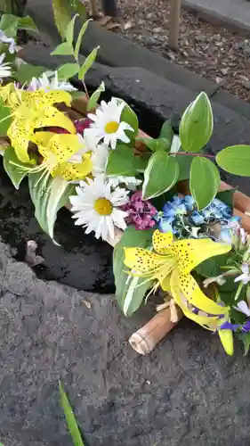 新琴似神社の手水