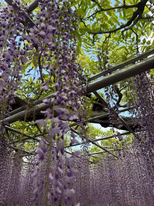 龍城神社の{uncategorized: "未分類", other: "その他", undefined: "問題あり", building: "その他建物", grave: "お墓", sacred_gate: "鳥居", guardian: "狛犬", statue: "像", buddha: "仏像", history: "歴史", nature: "自然", garden: "庭園", animal: "動物", pagoda: "塔", temizu: "手水舎", mountain_gate: "山門・神門", sanctuary: "本殿・本堂", subordinate: "末社・摂社", art: "芸術", scenery: "景色", jizo: "地蔵", ema: "絵馬", goshuin: "御朱印", omikuji: "おみくじ", items: "授与品その他", amulet: "お守り", goshuincho: "御朱印帳", eats: "食事", festival: "お祭り", votive_dance: "神楽", shichigosan: "七五三参", wedding: "結婚式", experience: "体験その他", initially: "初詣", around: "周辺", anti_infection: "感染症対策"}