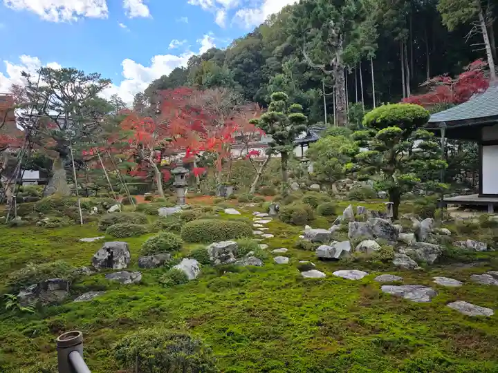 金剛寺(大阪府)