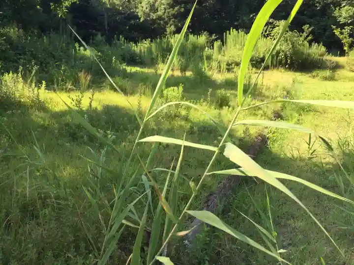 居多神社の周辺