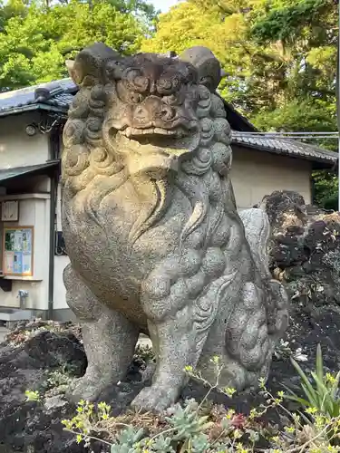 柏諏訪神社の狛犬