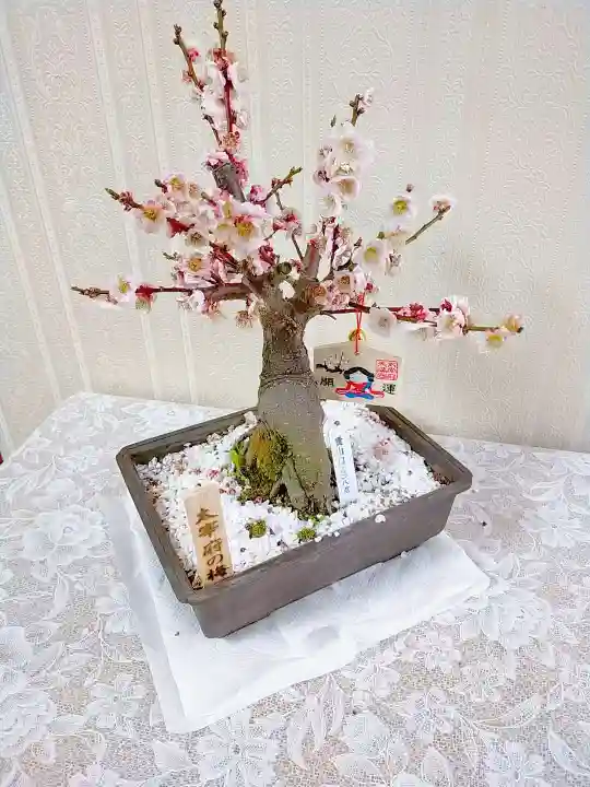 彌彦神社 (伊夜日子神社)の自然