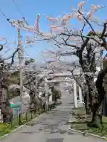住三吉神社の{uncategorized: "未分類", other: "その他", undefined: "問題あり", building: "その他建物", grave: "お墓", sacred_gate: "鳥居", guardian: "狛犬", statue: "像", buddha: "仏像", history: "歴史", nature: "自然", garden: "庭園", animal: "動物", pagoda: "塔", temizu: "手水舎", mountain_gate: "山門・神門", sanctuary: "本殿・本堂", subordinate: "末社・摂社", art: "芸術", scenery: "景色", jizo: "地蔵", ema: "絵馬", goshuin: "御朱印", omikuji: "おみくじ", items: "授与品その他", amulet: "お守り", goshuincho: "御朱印帳", eats: "食事", festival: "お祭り", votive_dance: "神楽", shichigosan: "七五三参", wedding: "結婚式", experience: "体験その他", initially: "初詣", around: "周辺", anti_infection: "感染症対策"}