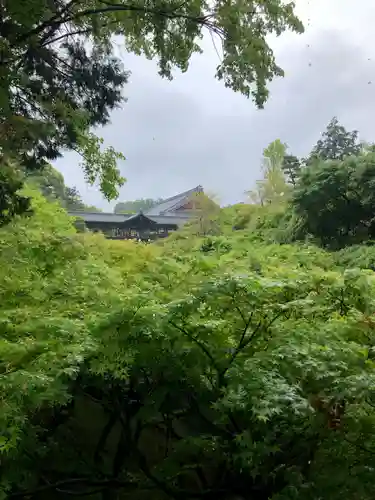 東福禅寺（東福寺）(京都府)