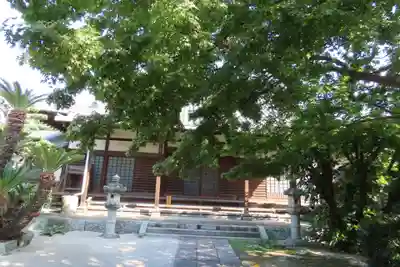 聖福寺の本殿・本堂