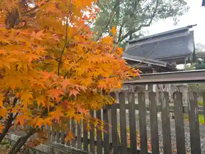 邇々杵神社(滋賀県)