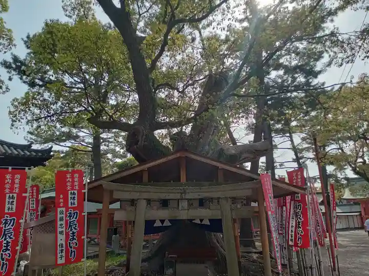 楠珺社(住吉大社末社)(大阪府)