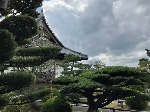 海宝寺の自然