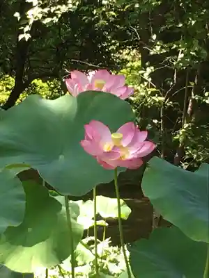 廣隆寺(京都府)