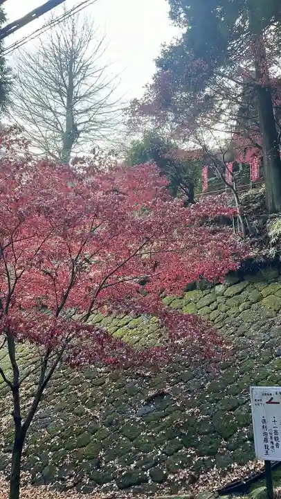 大山寺(神奈川県)