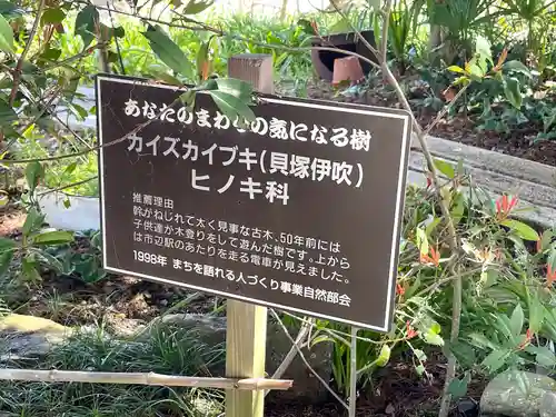 大蓮寺の建物その他