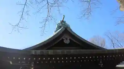 新曽氷川神社(埼玉県)