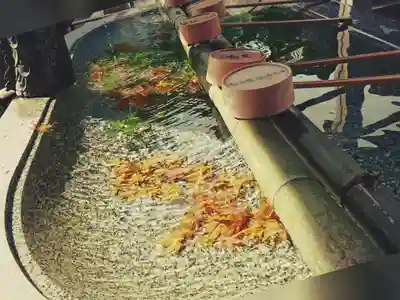 由加山 由加神社本宮の手水舎