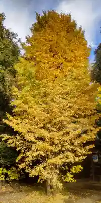 鷲神社(東京都)