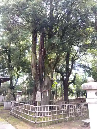 紀倍神社(福井県)
